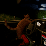 AM Horror - Play on the-freakcircus.com